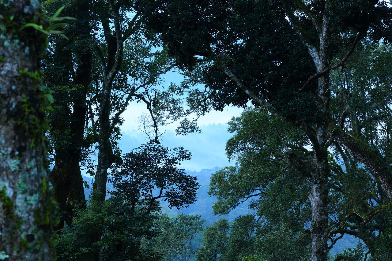 Madhumanthra Resort - Homestay Munnar Exterior foto